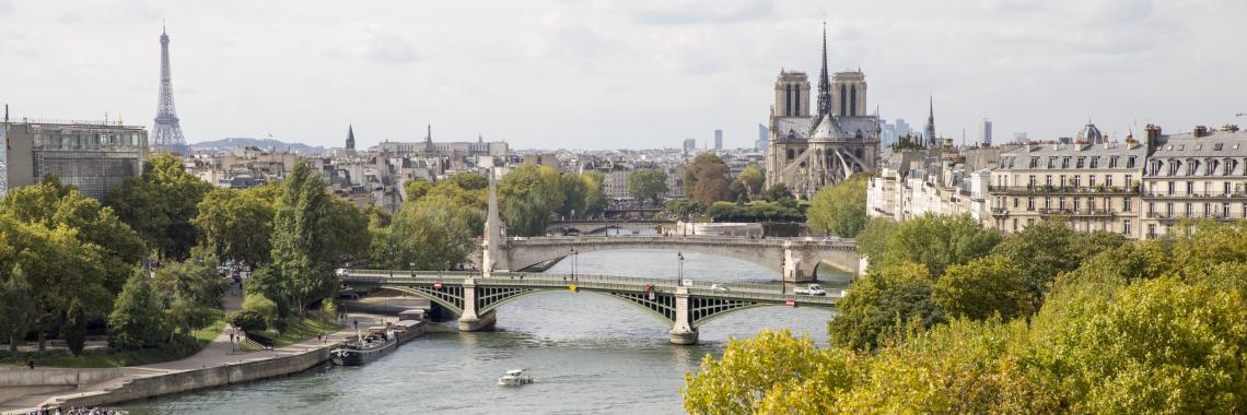 Vue de Paris